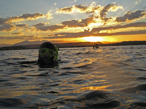 snorkling